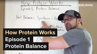 How Protein Works  Episode 1 Protein Balance [upl. by Oflodur]