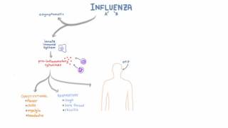 Influenza Infection  Clinical Symptoms and Presentation [upl. by Alo]