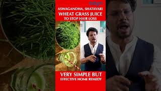 Wheatgrass Juice Ashwagandha amp Shatawari For Hair Loss  Hair Loss  Hair Regrowth  Hair Fall [upl. by Brunhilde]