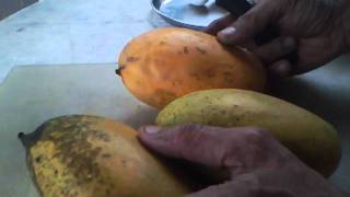 HOW TO FIND OUT  ORGANIC MANGOES VS CHEMICAL TREATED MANGOES [upl. by Wandis153]