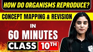 HOW DO ORGANISMS REPRODUCE in 60 Minutes  Science Chapter 8  Class 10th CBSE Board [upl. by Denzil48]