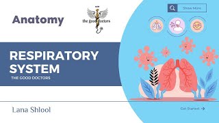 Lecture 2  Pharynx  Anatomy RS [upl. by Drexler134]