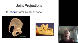 Bone Markings [upl. by Matless]