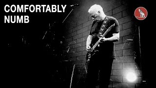 COMFORTABLY NUMB BACKING TRACK LAST SOLO [upl. by Brock915]