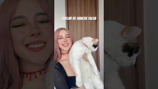 Collar de sangre falsa con silicon 😯🎃 viralvideo tips halloween [upl. by Olli]