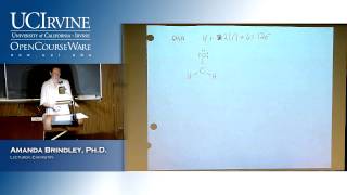 General Chemistry 1A Lecture 08 Chemical Bonds [upl. by Piscatelli475]