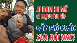 Ai còn Ham đi Mỹ chứ Dương Trung Hiếu ỚN lắm vì sao [upl. by Aronos697]