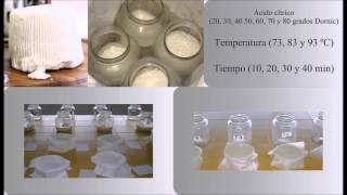 Precipitación de proteínas lactoséricas en función de la acidez temperatura y tiempo RVCTA [upl. by Cutlerr]