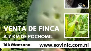 Finca en venta Nicaragua Managua Pochomil [upl. by Novelia874]