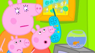 Goldie The Fish Is Unwell 🐠  Peppa Pig Official Full Episodes [upl. by Eenahc]