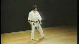 Heian Nidan  Shotokan Karate [upl. by Gnahk954]