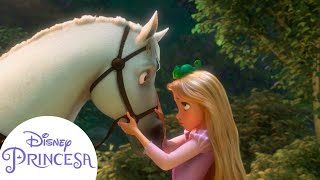 Rapunzel Ganha de Maximus  Disney Princesa [upl. by Gill]