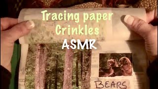 ASMRPage turning of crinkly tracing paper No talking [upl. by Festus]