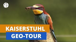 Der Kaiserstuhl  GeoTour  Planet Schule [upl. by Tyra]