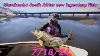 MamLambo new South Africa legendary Fish  Call of the wild  the Angler 71824 [upl. by Johann]