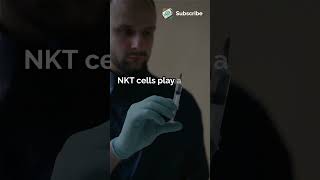 How NKT Cells Shape the Immune Response to Dengue Virus dengue virulshorts ytshorts health [upl. by Yknarf263]