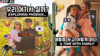 사촌들이 자꾸 더운 애리조나에서 같이 살재요 어떡하죠 🌵미국서부 여행 ep 5 피닉스 🇺🇸🇰🇷 [upl. by Critta]