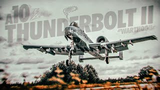 A10 Thunderbolt II in Action [upl. by Hgielra]