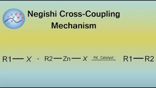 Negishi CrossCoupling Mechanism  Organic Chemistry [upl. by Dielu821]