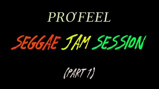 Mo La Mizik cover by Hans profeelstudio4320 Seggae Jam Session part 1 [upl. by Kala]