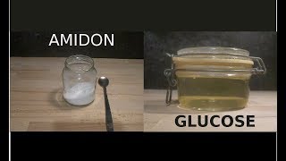 Comment transformer de lamidon en glucose [upl. by Ynnavoig]