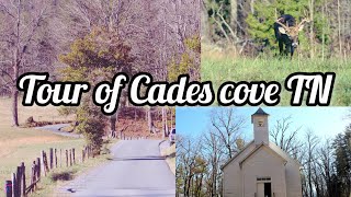 Tour of Cades cove Tennessee Gatlinburg at Christmas river walk greenway [upl. by Assenej137]