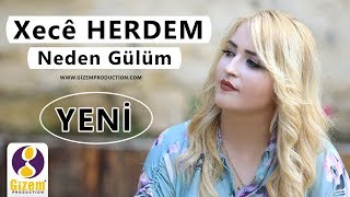 Xecê Herdem  Neden Gülüm Akustik [upl. by Aniraad874]