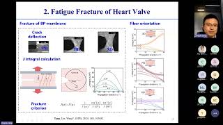 Fatigue Resistant Hydrogels and Application in Heart Valve [upl. by Enyrb]