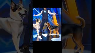 Americas Got Talent Dogs Magic😱😨  Duo SchumacherAGTamericagottalentmagic [upl. by Pudens412]