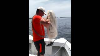 Throwing a ten foot cast net for pogy  menhaden Ocean Springs Biloxi Mississippi Sound [upl. by Otokam]