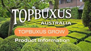 Topbuxus® Grow Information Guide [upl. by Martel]