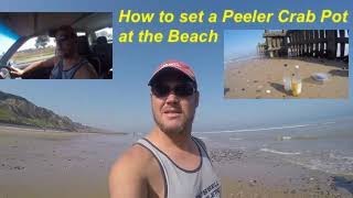 How to set a Peeler Crab Pot at the beach [upl. by Yaresed]