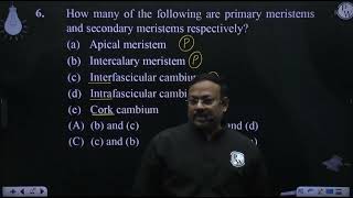 How many of the following are primary meristems and secondary meristems respectively a amp [upl. by Keese740]