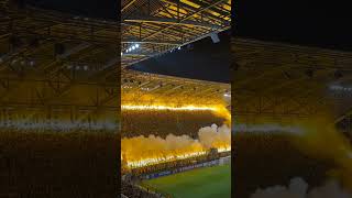 Dynamo Dresden mit Starker Choreo und Lautstärke [upl. by Ttessil729]