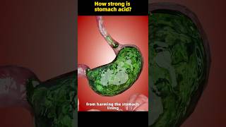 How strong is stomach acid [upl. by Early]