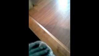 How To Correctly Install A Laminate Hardwood Threshold Near A Bathroom [upl. by Joline]