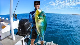 CAMPING ON THE BOAT EATING WHAT YOU CATCH Giant Blue Bone Catch And Cook Part 2  Ep 106 [upl. by Dorrie]