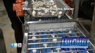 Raw Mushrooms Slicer Mod Thor by Turatti [upl. by Eustace]