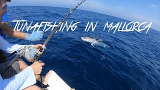 Fiske på mallorca efter blåfenad tonfisk Bluefin tuna fishing 2018 300kg [upl. by Serene]