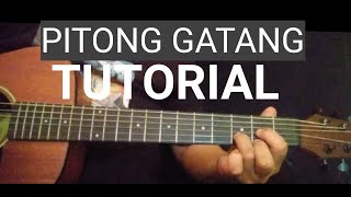 PITONG GATANG GUITAR CHORDS TUTORIAL AND LYRICS PITONGGATANG FREDPANOPIO [upl. by Ennaylloh]