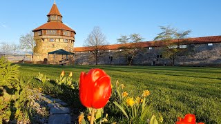 Eine historische Stadt Esslingen am Neckar schöne Aussicht von der Esslinger Burg im Frühjahr [upl. by Nohsar]