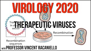 Virology Lectures 2020 26 Therapeutic viruses [upl. by Eneja330]