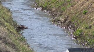 El Vado Dam closure strains Rio Grande Valley farmers amid water shortages [upl. by Aikyn]