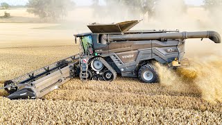 FENDT IDEAT 10T mit 12m PowerFlow Schneidwerk bei der WeizenernteWheat harvest 2024 [upl. by Kcirdet]