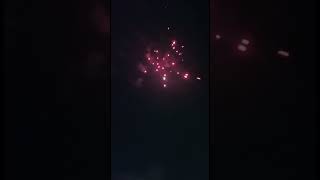 Shadmani ho Shadmani song shadisong shorts fireworks fireworkshorts youtubeshort [upl. by Frankel]