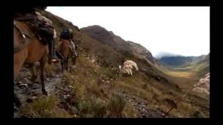 Reportaje al Perú Gran Pajatén el tesoro de los chachapoyas  cap 2 [upl. by Ahsener]