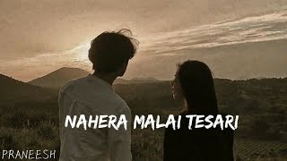 Nahera malai tesari maya basla hai besari  shreego  lyrics  praneesh aatreya [upl. by Atilahs898]