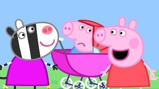 Peppa Pig Português Brasil  🐰O DIA DE FOLGA DA DONA COELHA ❤️HD  Desenhos Animados [upl. by Peirsen]