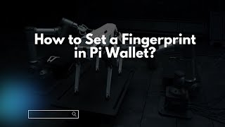 How to Set a Fingerprint in Pi Wallet [upl. by Paxon]