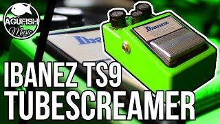 Ibanez TS9 Tube Screamer Demo  Absolutely Legendary Overdrive Sound [upl. by Ecraep]